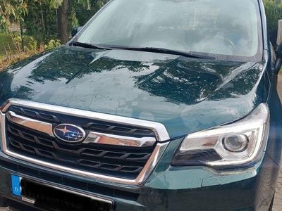 Grün Gebraucht 2016 Subaru Forester SUV | 10.500 € (Guter Preis)