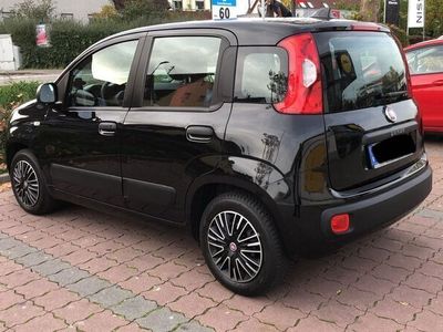 gebraucht Fiat Panda 1.2 69 kw 312 Von 2013
