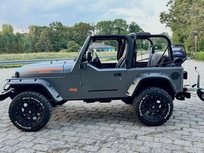 Second-hand Jeep Wrangler 177 CP (130 kW) 2001 Gri SUV