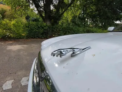 Gebraucht Jaguar X300 240 PS (176 kW) 1997 Weiß Limousine