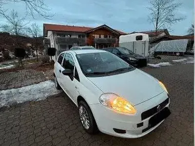 Usata Fiat Punto Active 68 CV (50 kW) 2011 Bianco Utilitaria