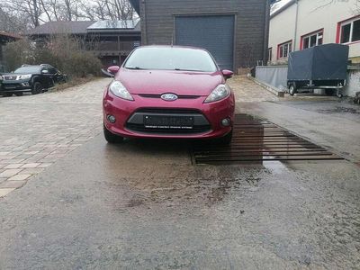 Gebraucht Ford Fiesta Trend 97 PS (71 kW) 2010 Hot magenta Kleinwagen