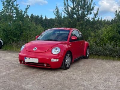 VW Beetle