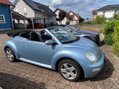 VW Beetle