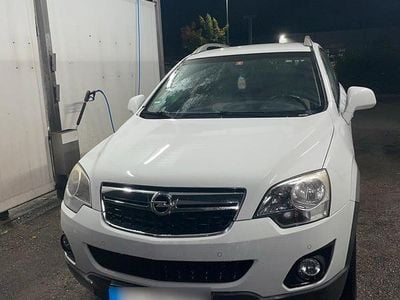 Usata Opel Antara 163 CV (119 kW) 2012 Bianco SUV