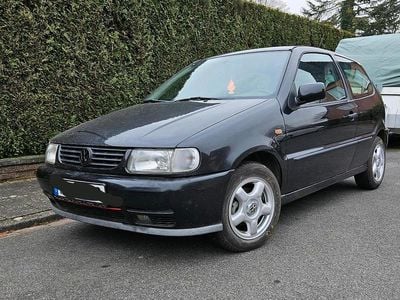 VW Polo