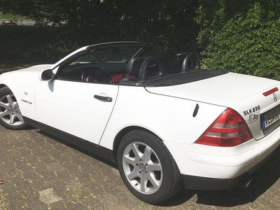 Gebraucht Mercedes SLK230 193 PS (141 kW) 1998 Weiß Cabrio