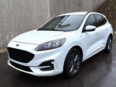 Gebraucht Ford Kuga ST-Line X 150 PS (110 kW) 2020 Frozen white SUV