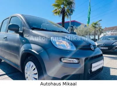 Gebraucht Fiat Panda