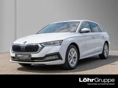 Gebraucht Skoda Octavia
