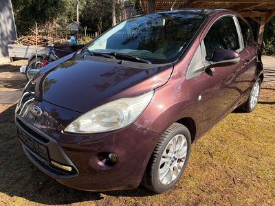 Gebraucht Ford Ka Trend 69 PS (50 kW) 2009 Andere farben Kleinwagen