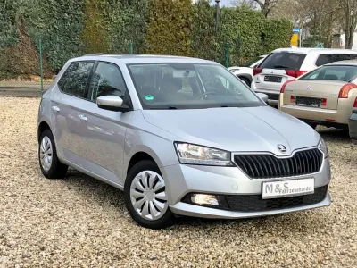 Gebraucht Skoda Fabia Cool Plus 60 PS (44 kW) 2020 Silber Kleinwagen