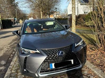Grau Gebraucht 2019 Lexus UX 250h SUV | 24.000 € (Etwas zu teuer)