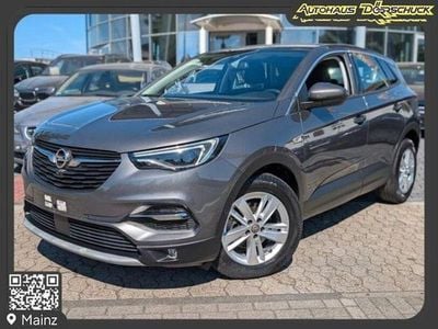Gebraucht Opel Grandland X Business 131 PS (96 kW) 2021 Grau SUV