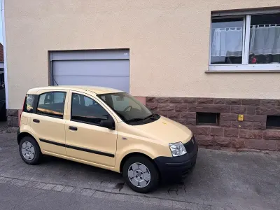 Usata Fiat Panda 54 CV (39 kW) 2009 Giallo Utilitaria