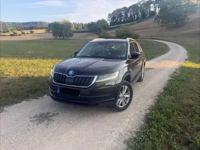 Gebraucht Skoda Kodiaq Active 150 PS (110 kW) 2019 Braun SUV