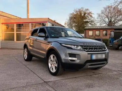 Gebraucht Land Rover Range Rover evoque Pure 150 PS (110 kW) 2014 Grau SUV