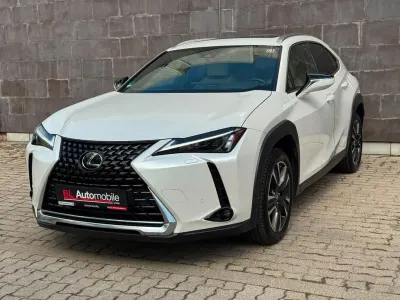 Gebraucht Lexus UX 250h Executive Line 152 PS (111 kW) 2020 Weiß SUV
