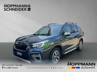 Gebraucht Subaru Forester