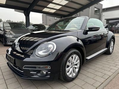 VW Beetle