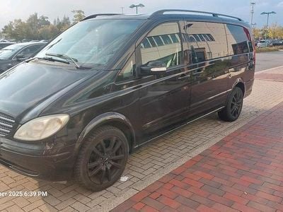 Mercedes Viano