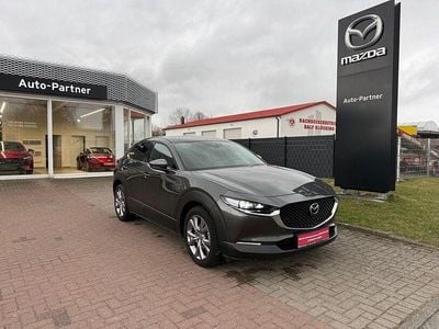 Gebraucht Mazda CX-30 Selection 150 PS (110 kW) 2022 Grau SUV