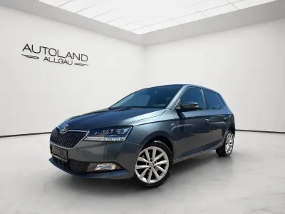 Gebraucht Skoda Fabia Soleil 110 PS (80 kW) 2020 Grau Kleinwagen