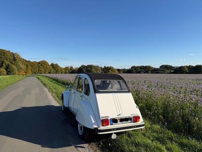Gebraucht Citroën 2CV 27 PS (19 kW) 1989 Weiß Limousine
