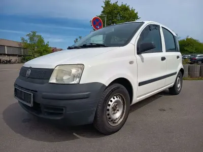 Używany Fiat Panda Active 54 KM (39 kW) 2009 Biały Hatchback