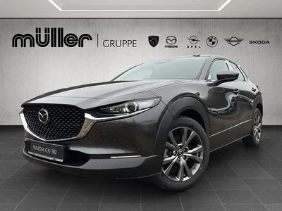 Neu Mazda CX-30 Exclusive 186 PS (136 kW) 2026 Grau SUV