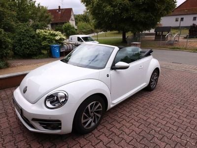 VW Beetle