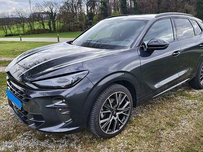 Second-hand Cupra Terramar 150 CP (110 kW) 2025 Gri SUV