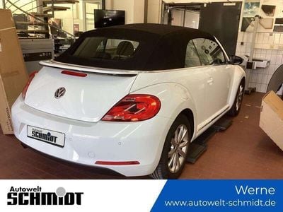 VW Beetle