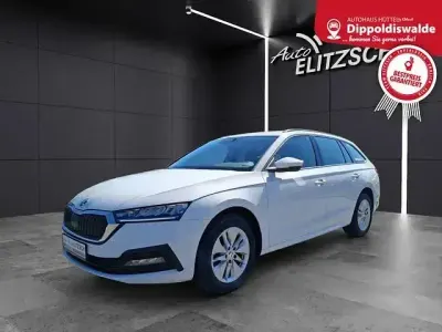 Gebraucht Skoda Octavia Ambition 150 PS (110 kW) 2022 Candyweiss Kombi