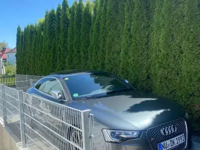 Gebraucht Audi RS5
