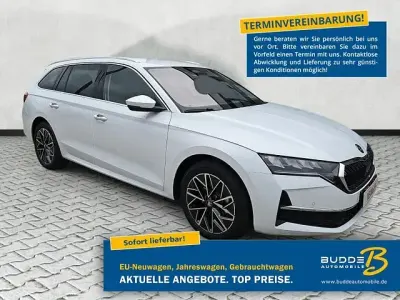 Neu Skoda Octavia Selection 150 PS (110 kW) 2026 Moonwhite metallic Kombi