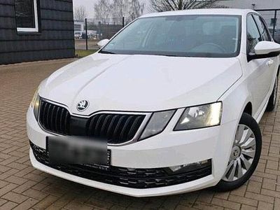 Gebraucht Skoda Octavia 115 PS (84 kW) 2019 Weiß Kombi