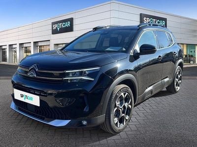 Neu Citroën C5 Aircross 136 PS (100 kW) 2025 Grau SUV