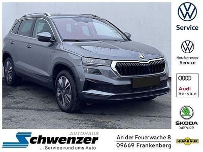 Gebraucht Skoda Karoq Selection 150 PS (110 kW) 2025 Grau SUV
