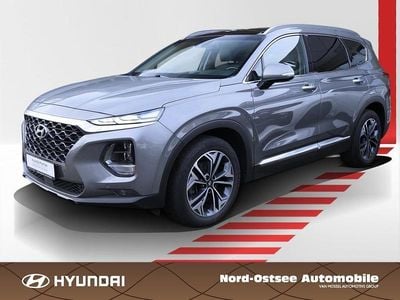 Wild explorer / met Gebraucht 2019 Hyundai Santa Fe Premium SUV | 24.490 € (Etwas zu teuer)