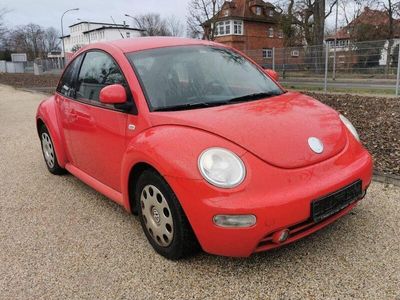 VW Beetle