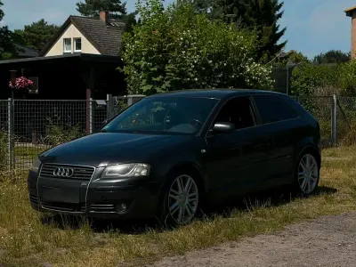 Gebraucht Audi A3 S-Line 101 PS (74 kW) 2003 Schwarz Kleinwagen