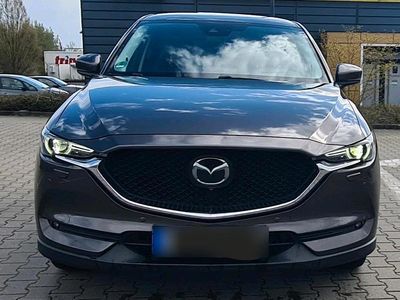 Usata Mazda CX-5 2019 SUV