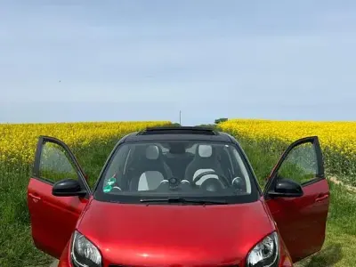 Gebraucht Smart ForFour Passion 90 PS (66 kW) 2015 Rot Kleinwagen