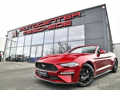 gebraucht Ford Mustang Cabrio 2.3 EcoBoost Navi* MagneRide*