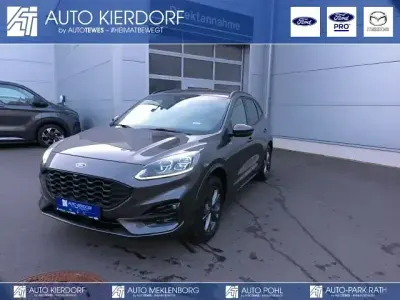 Usata Ford Kuga ST-Line X 224 CV (164 kW) 2022 Grigio SUV