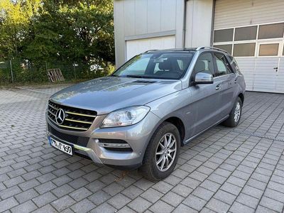 Mercedes ML250