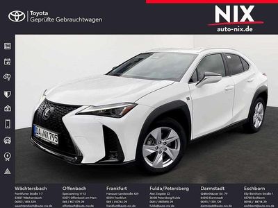 Gebraucht Lexus UX 300h Sport Design Packet 196 PS (144 kW) 2024 Fujiweiß SUV