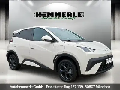 Neu BYD Dolphin Surf Comfort 114 kW (156 PS) 2026 Weiß Kleinwagen