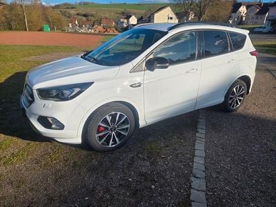 Gebraucht Ford Kuga ST-Line 150 PS (110 kW) 2019 Weiß SUV